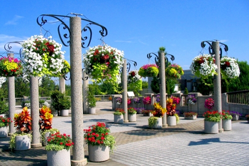 宇治市植物公園